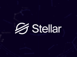 Stellar logo in front of a dark background.